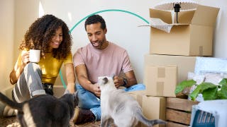 Man and woman sitting with cats near a stack of moving boxes.